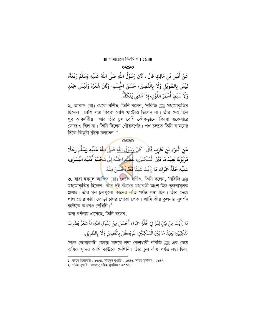 পাতা 12