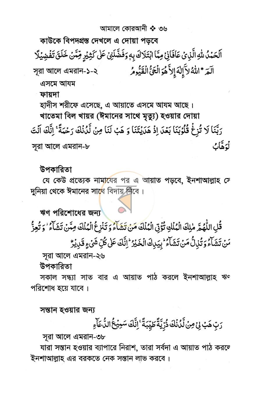 পাতা 11