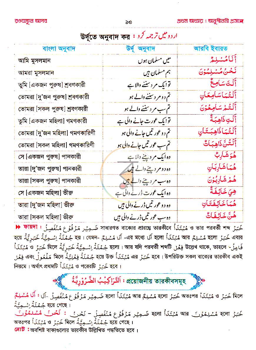 পাতা 8