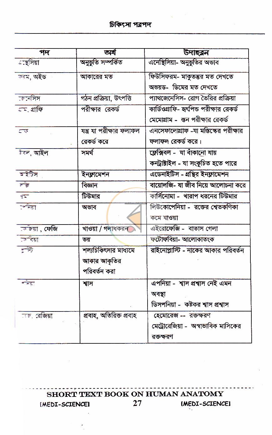 পাতা 10