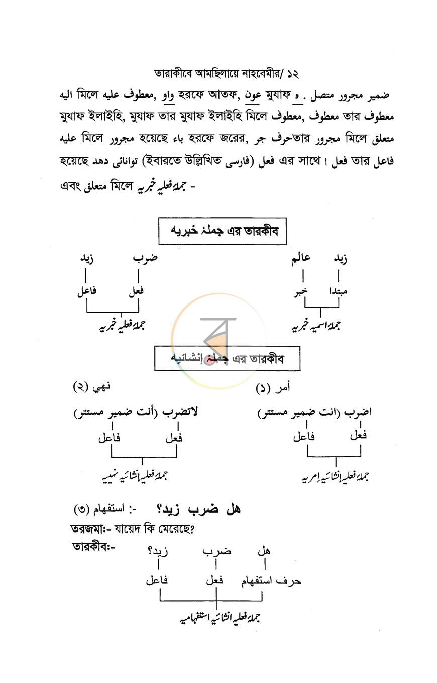 পাতা 8