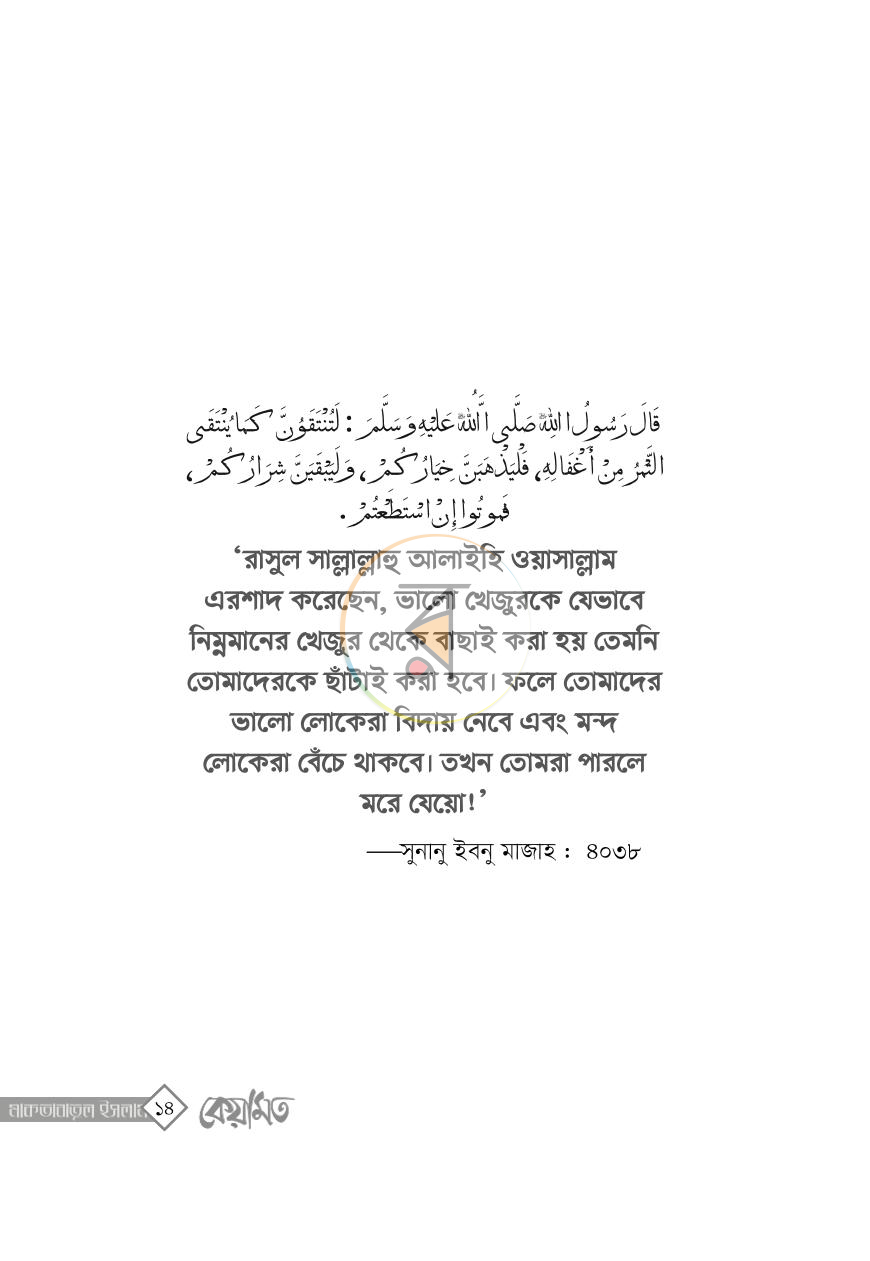 পাতা 12