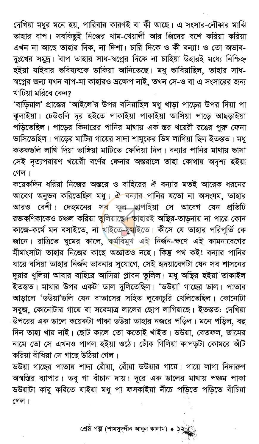 পাতা 10