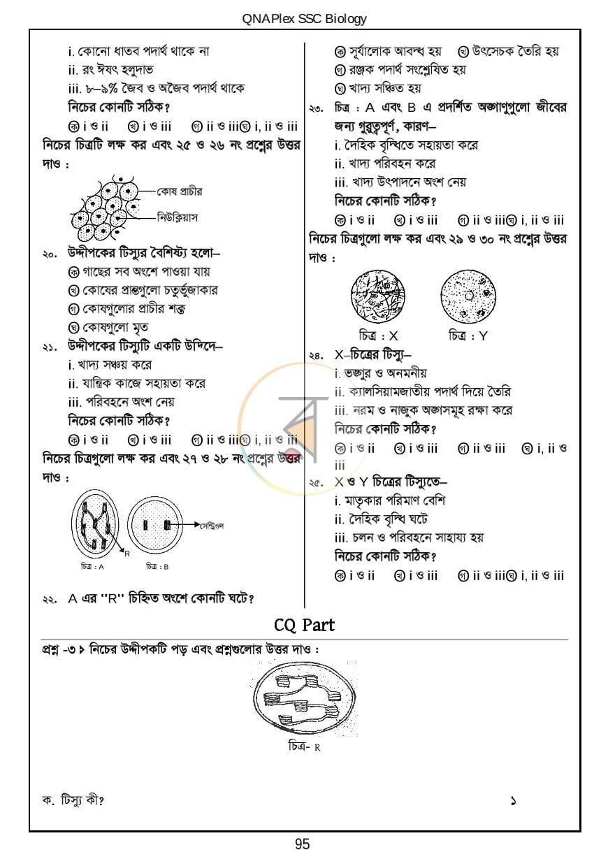 পাতা 12