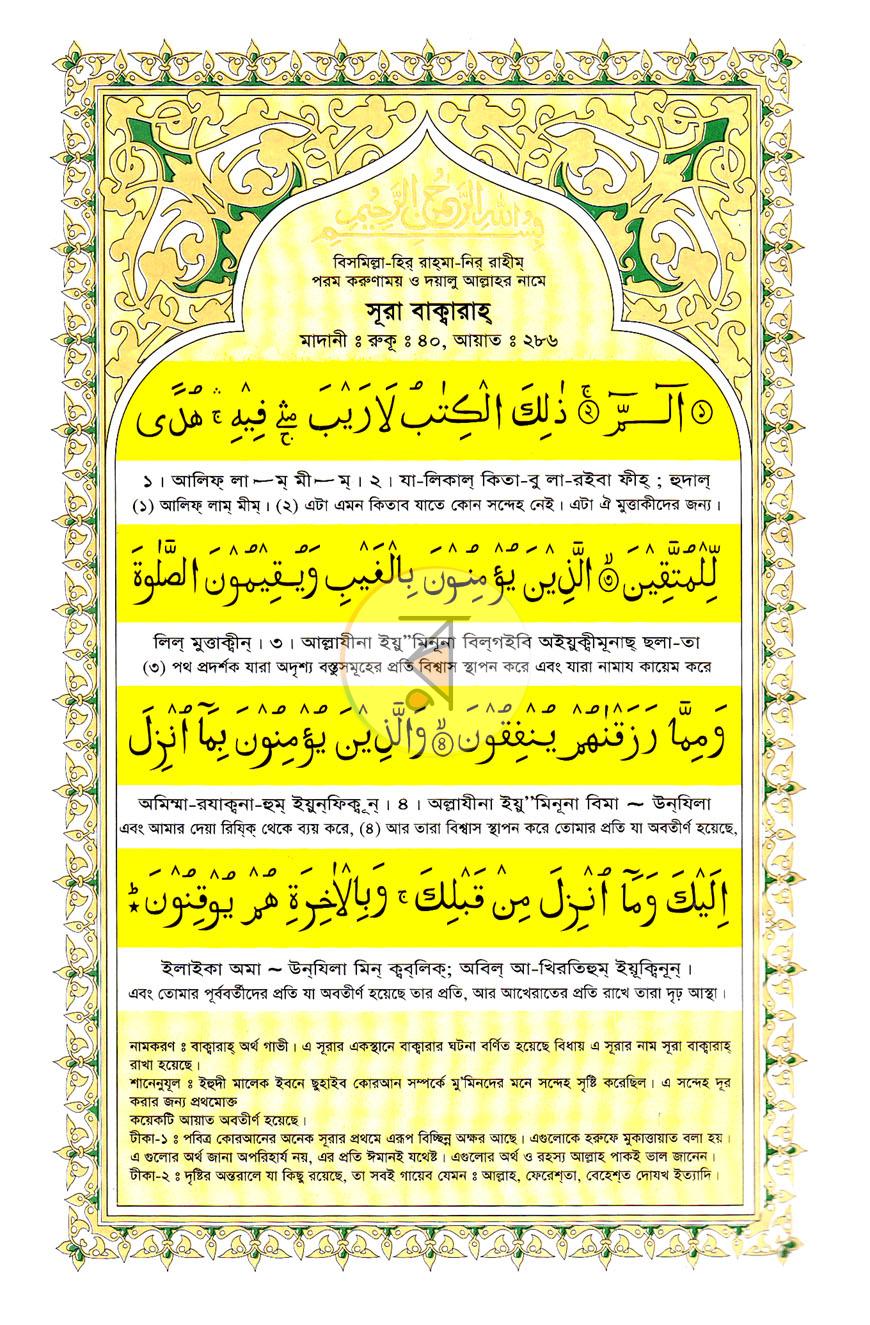 পাতা 8