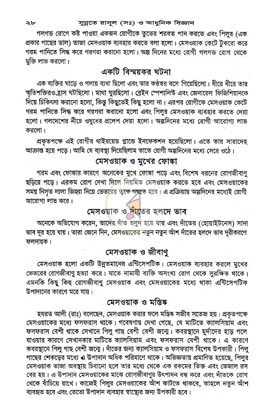 পাতা 10