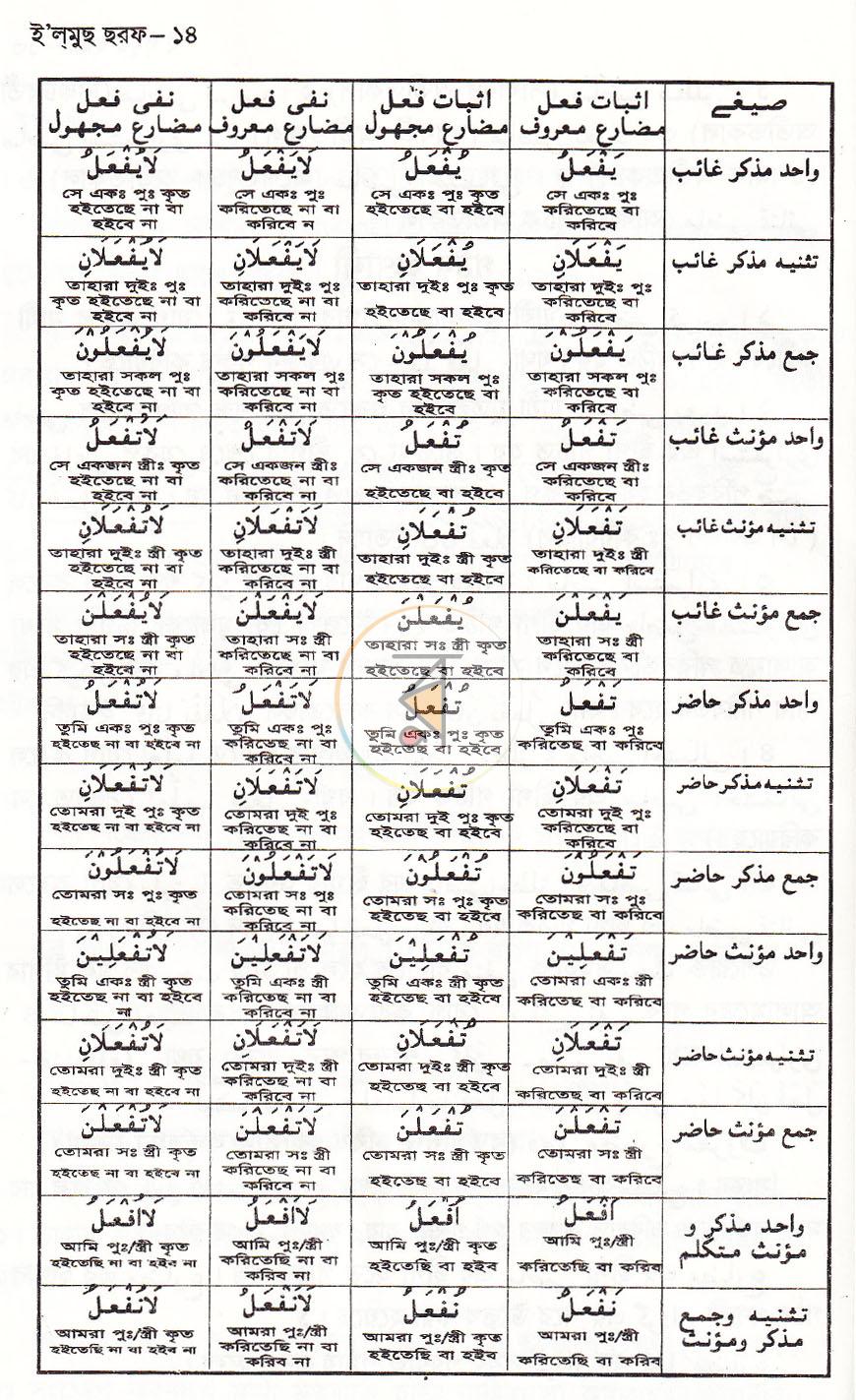 পাতা 12