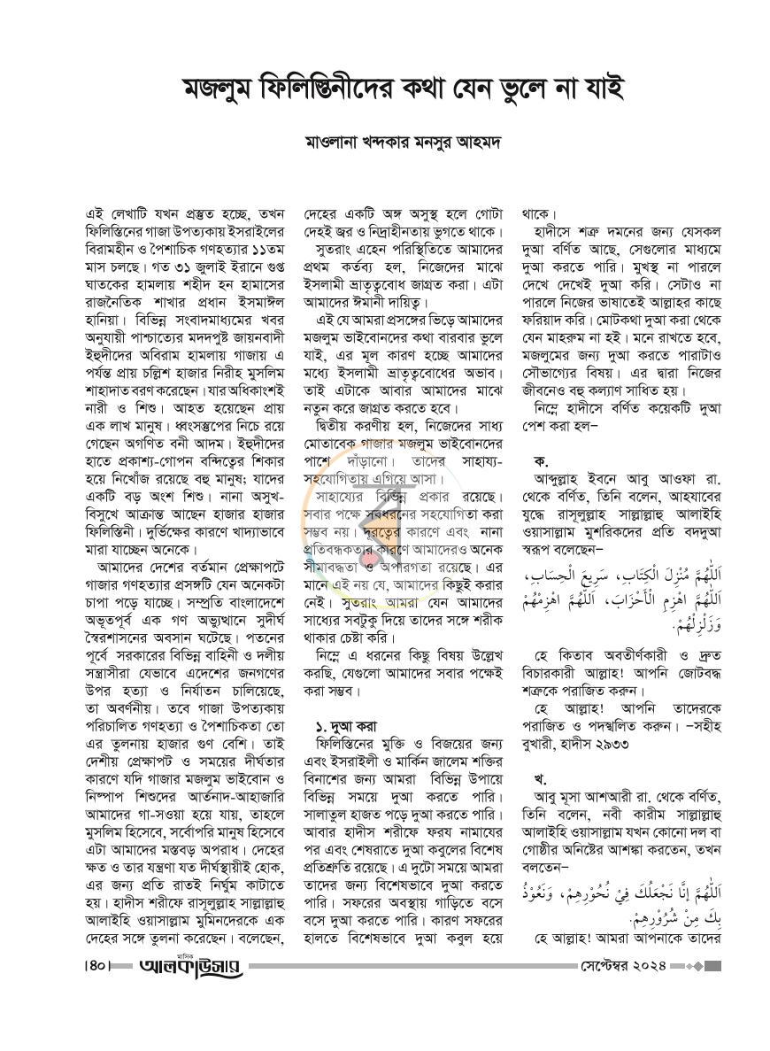 পাতা 11