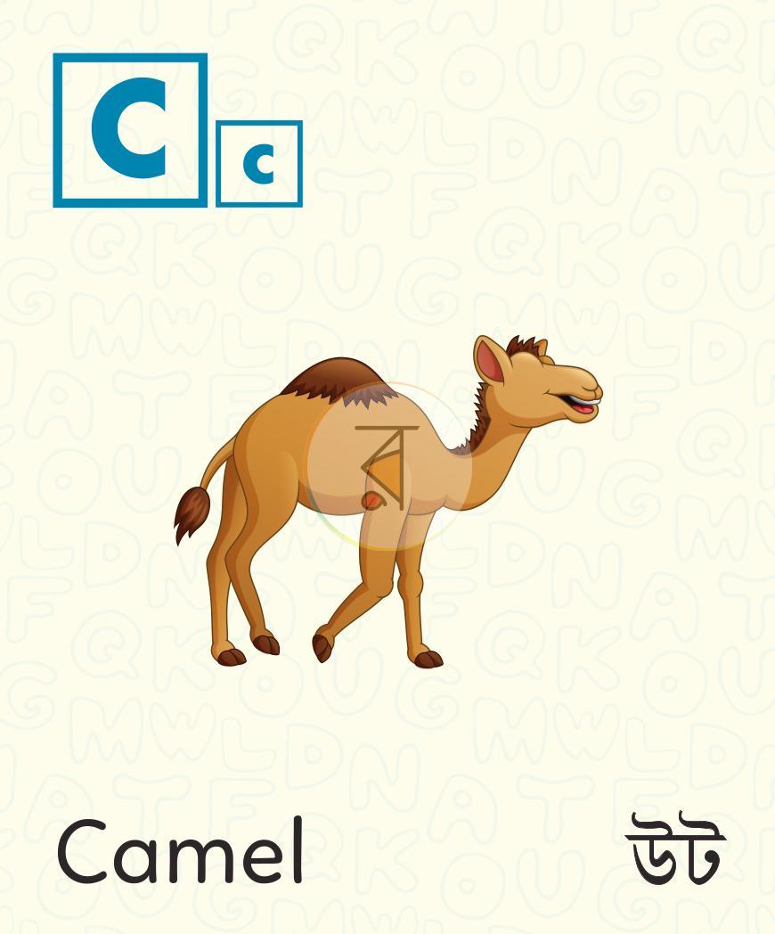 পাতা 3