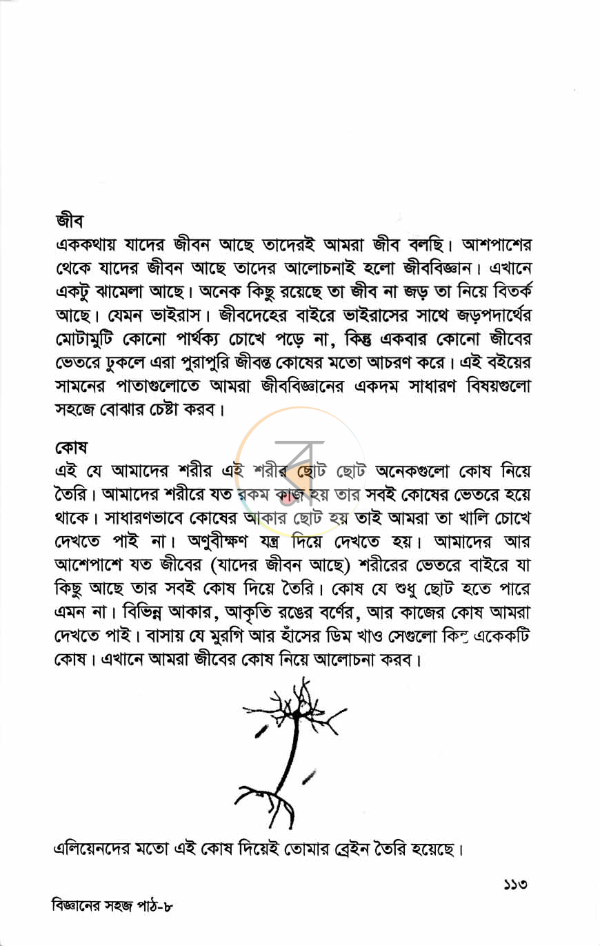 পাতা 8