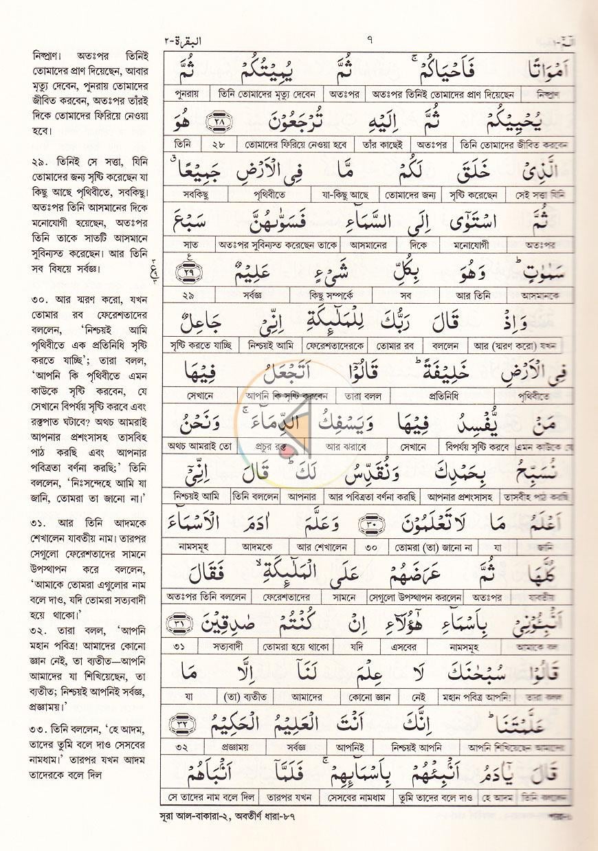 পাতা 12
