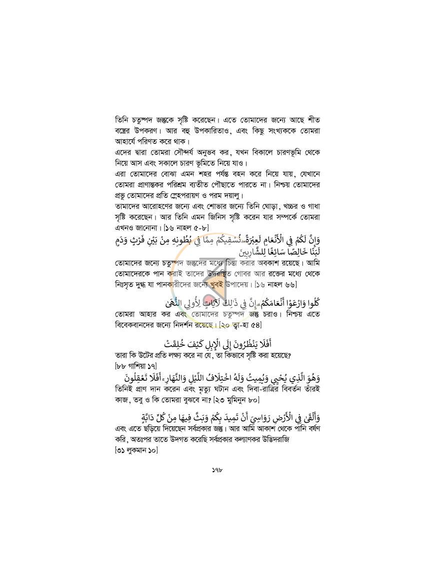 পাতা 177