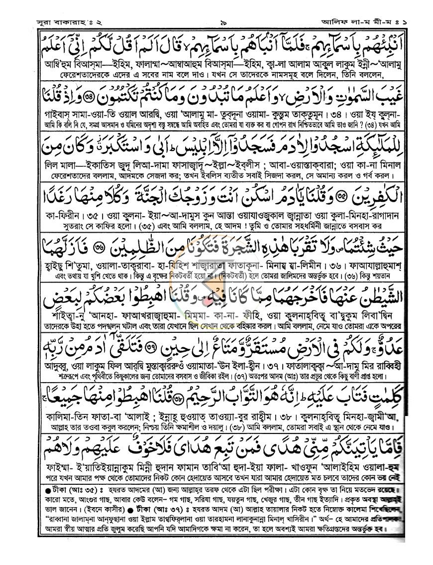 পাতা 11