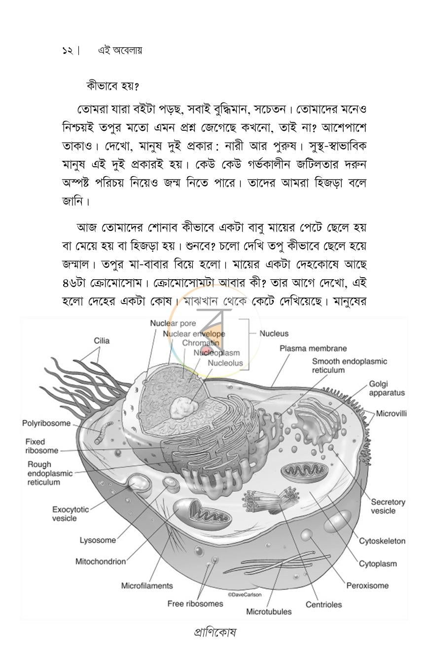 পাতা 5