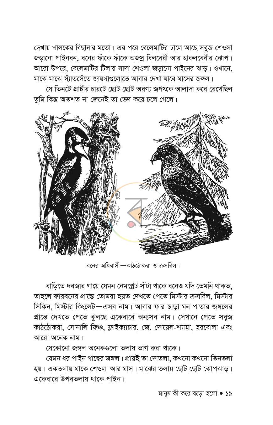 পাতা 15