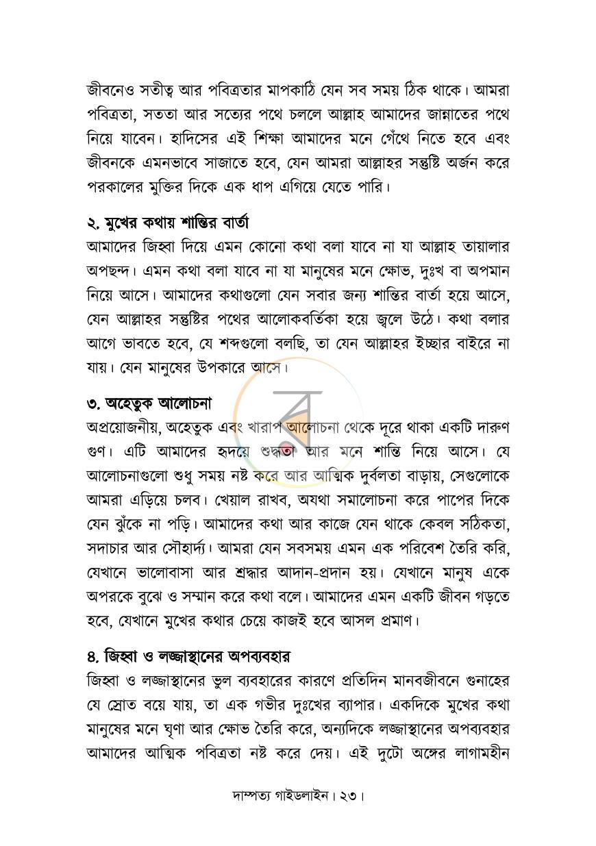 পাতা 13