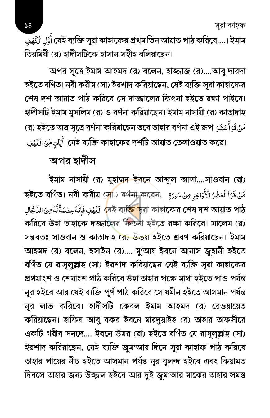 পাতা 11