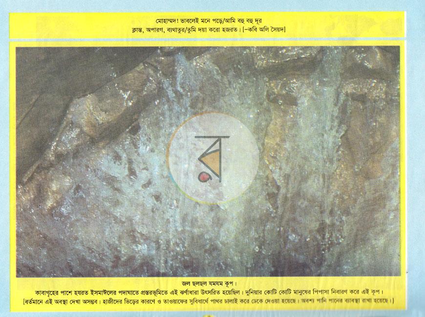 পাতা 7