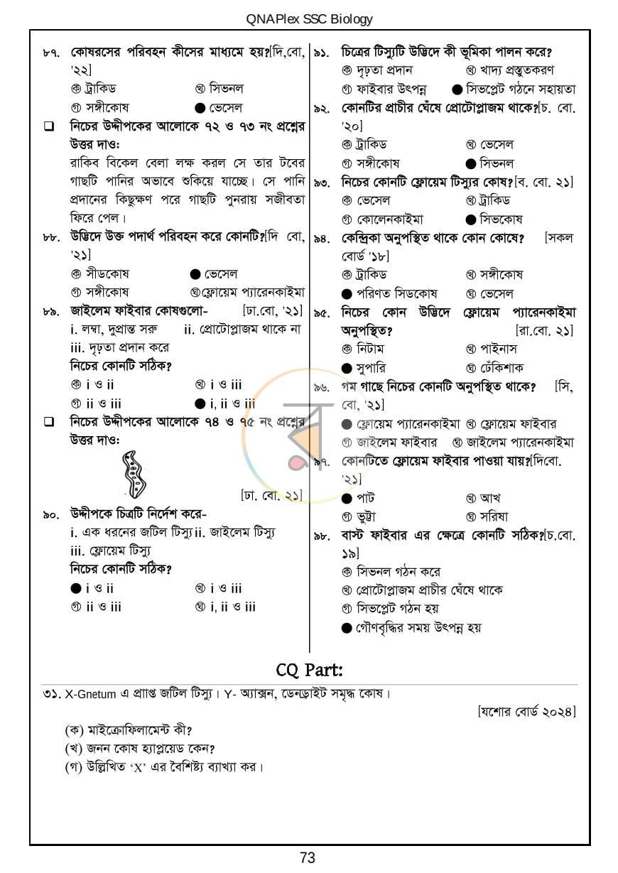 পাতা 10