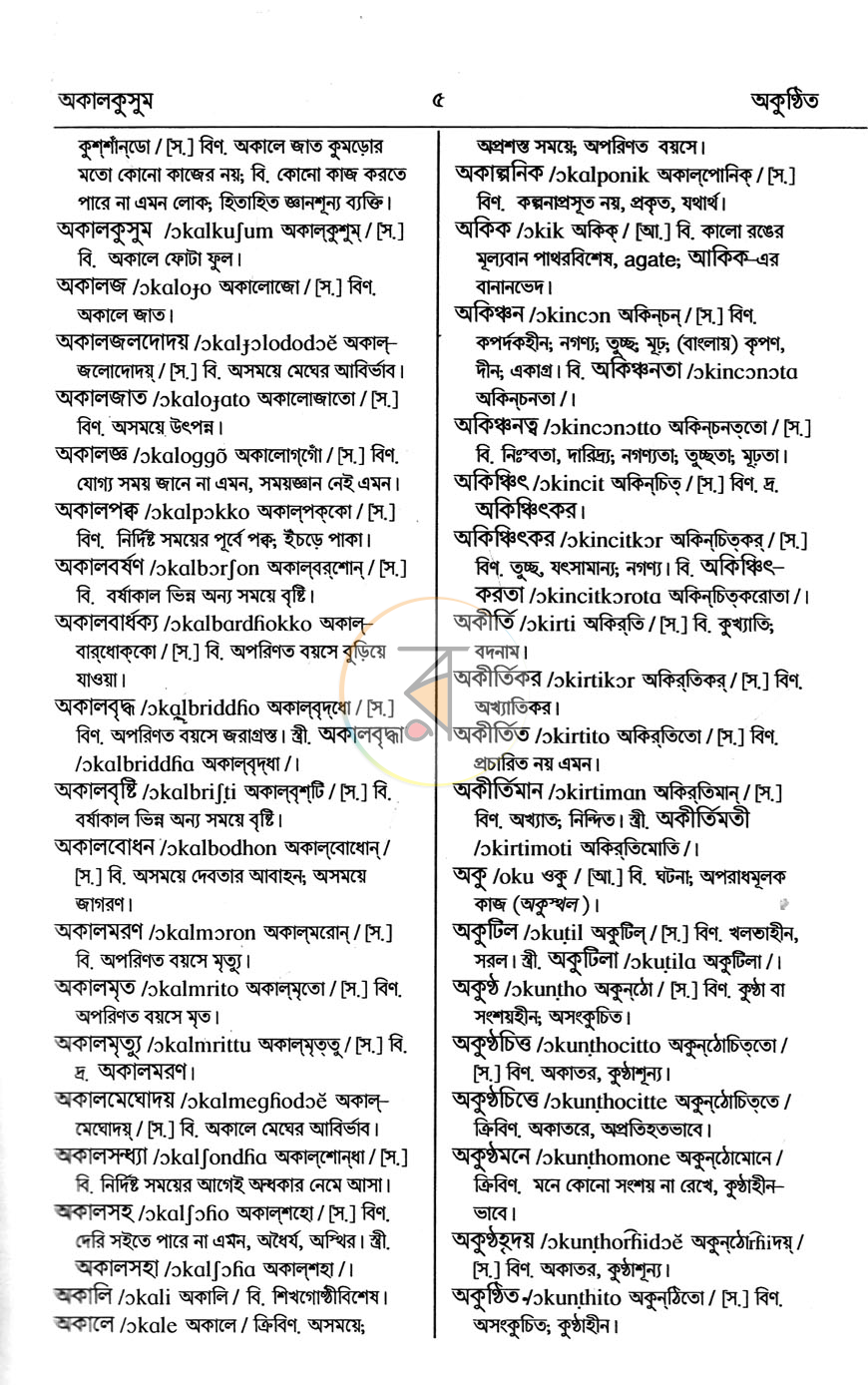পাতা 11
