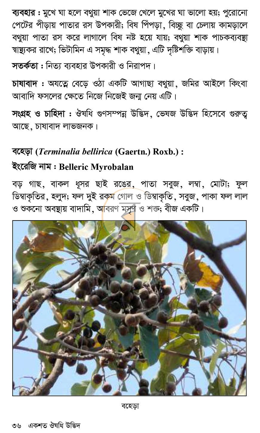 পাতা 20