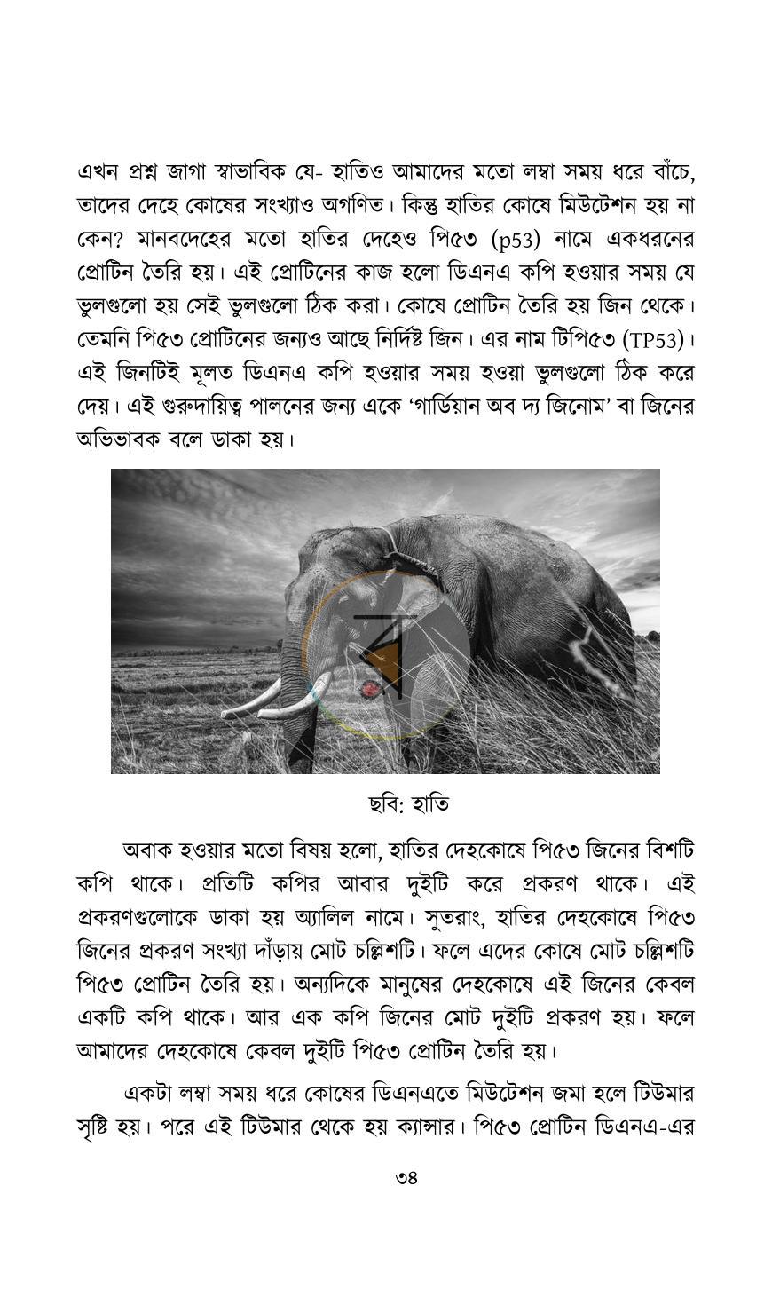 পাতা 10