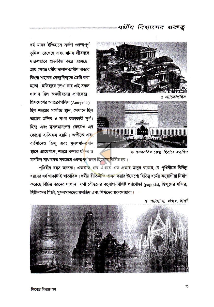 পাতা 11