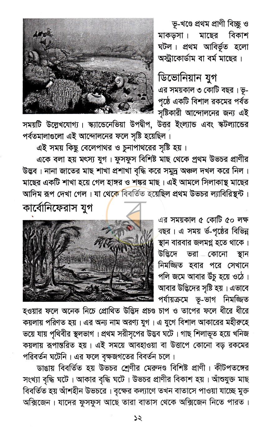 পাতা 7
