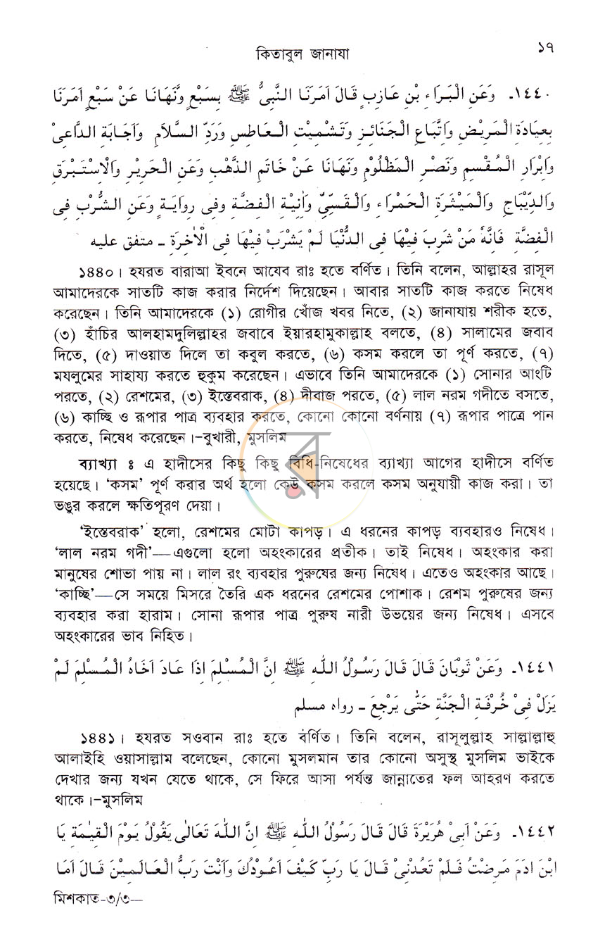পাতা 8