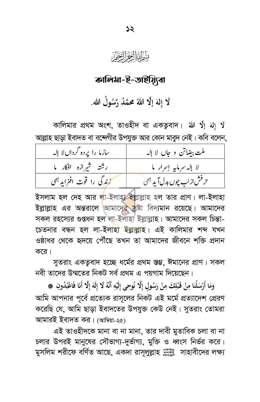 পাতা 12