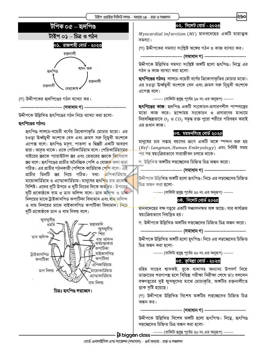 পাতা 14