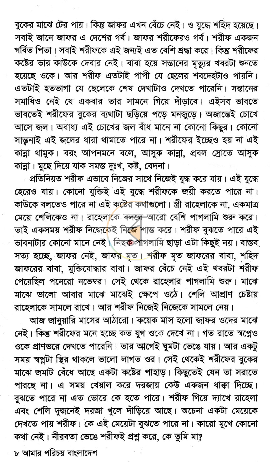 পাতা 4