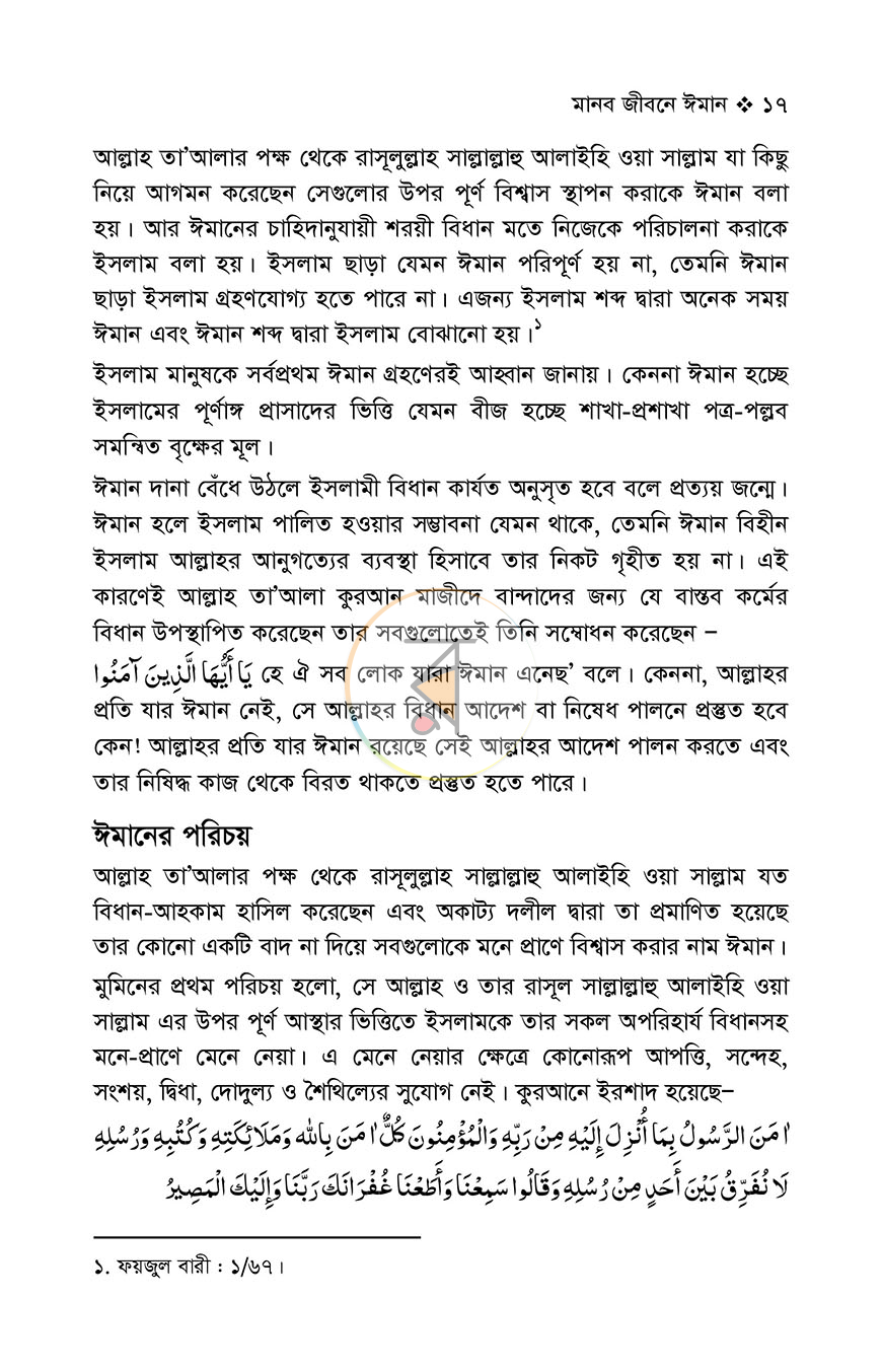 পাতা 11