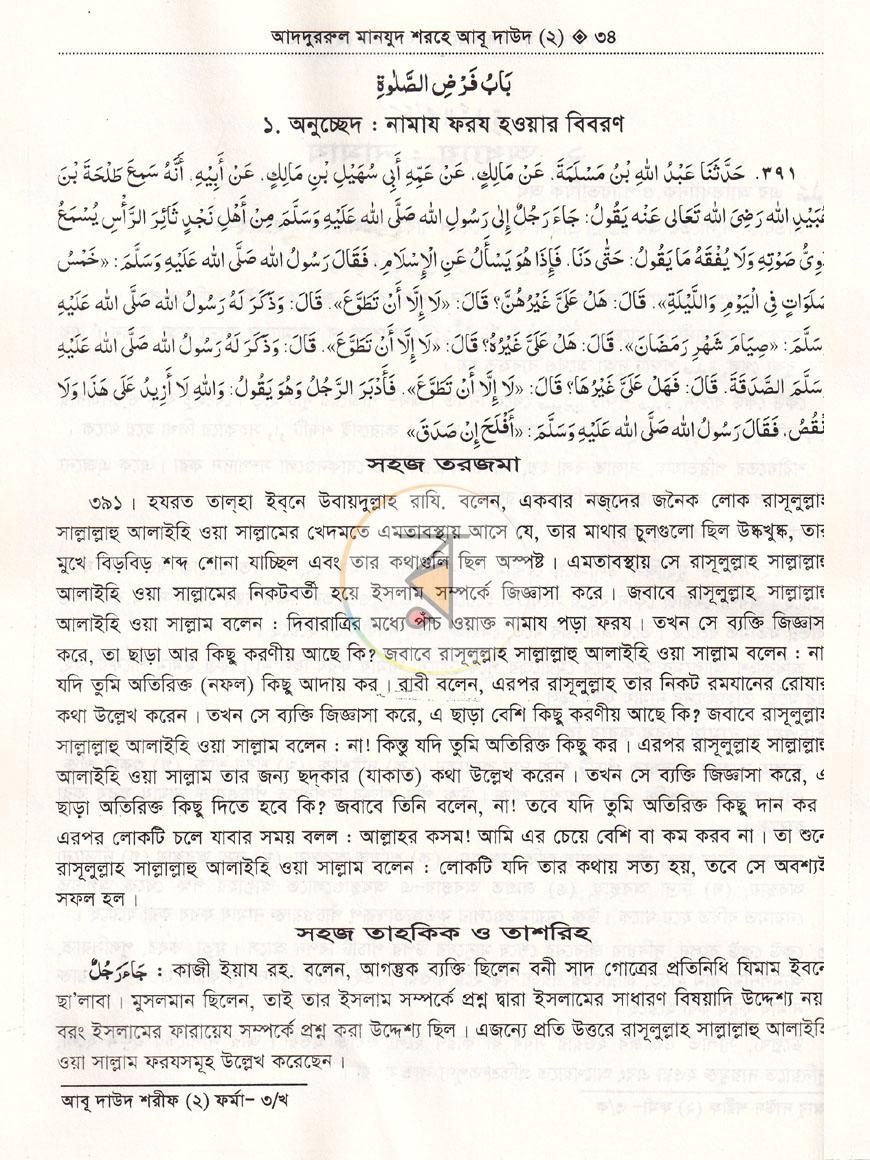 পাতা 8