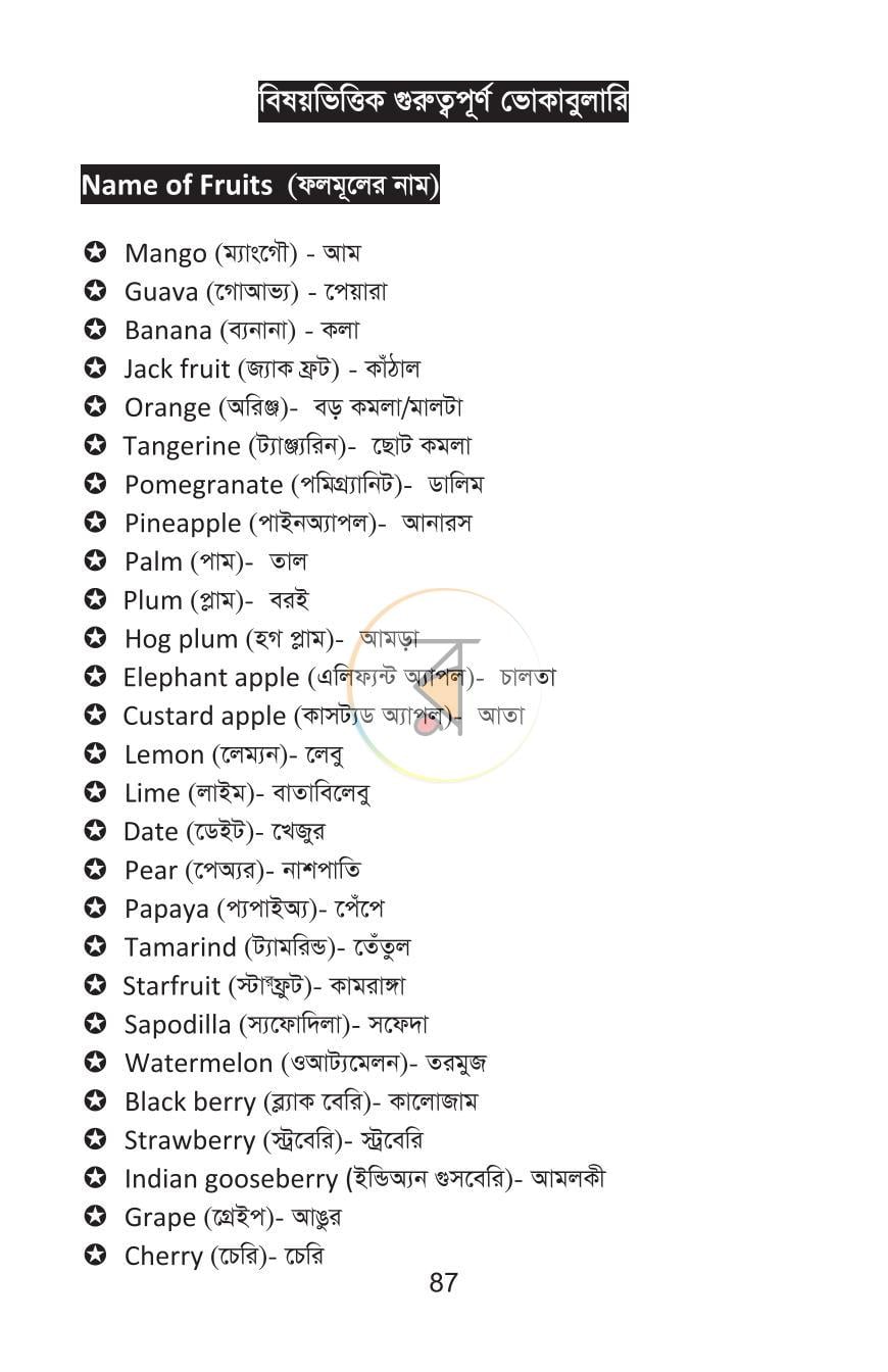পাতা 13