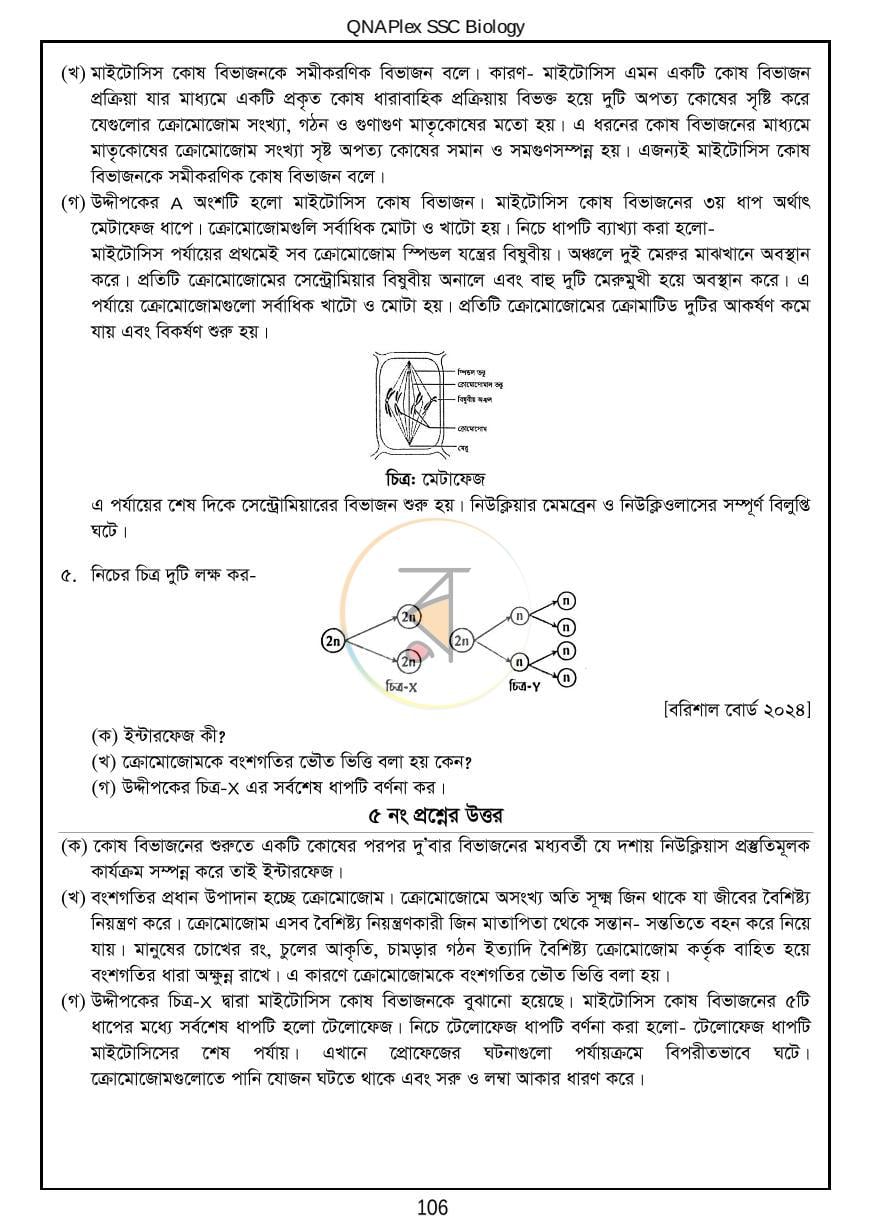 পাতা 13