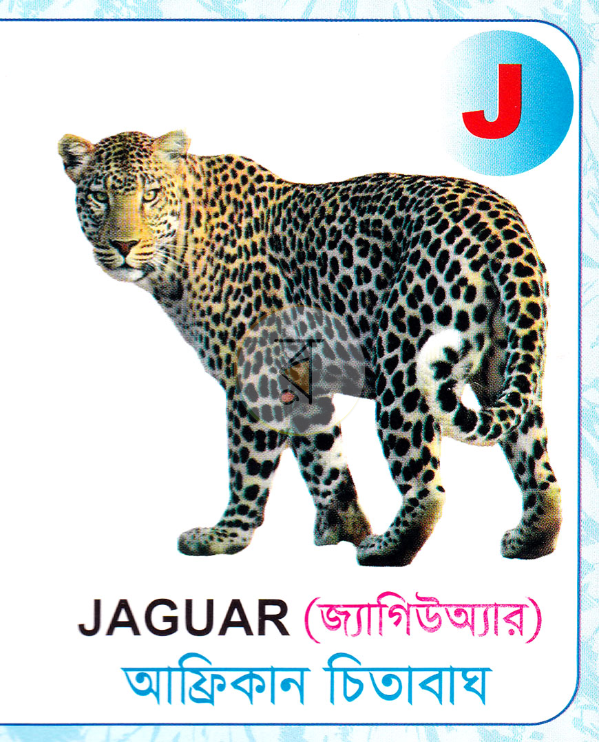 পাতা 10