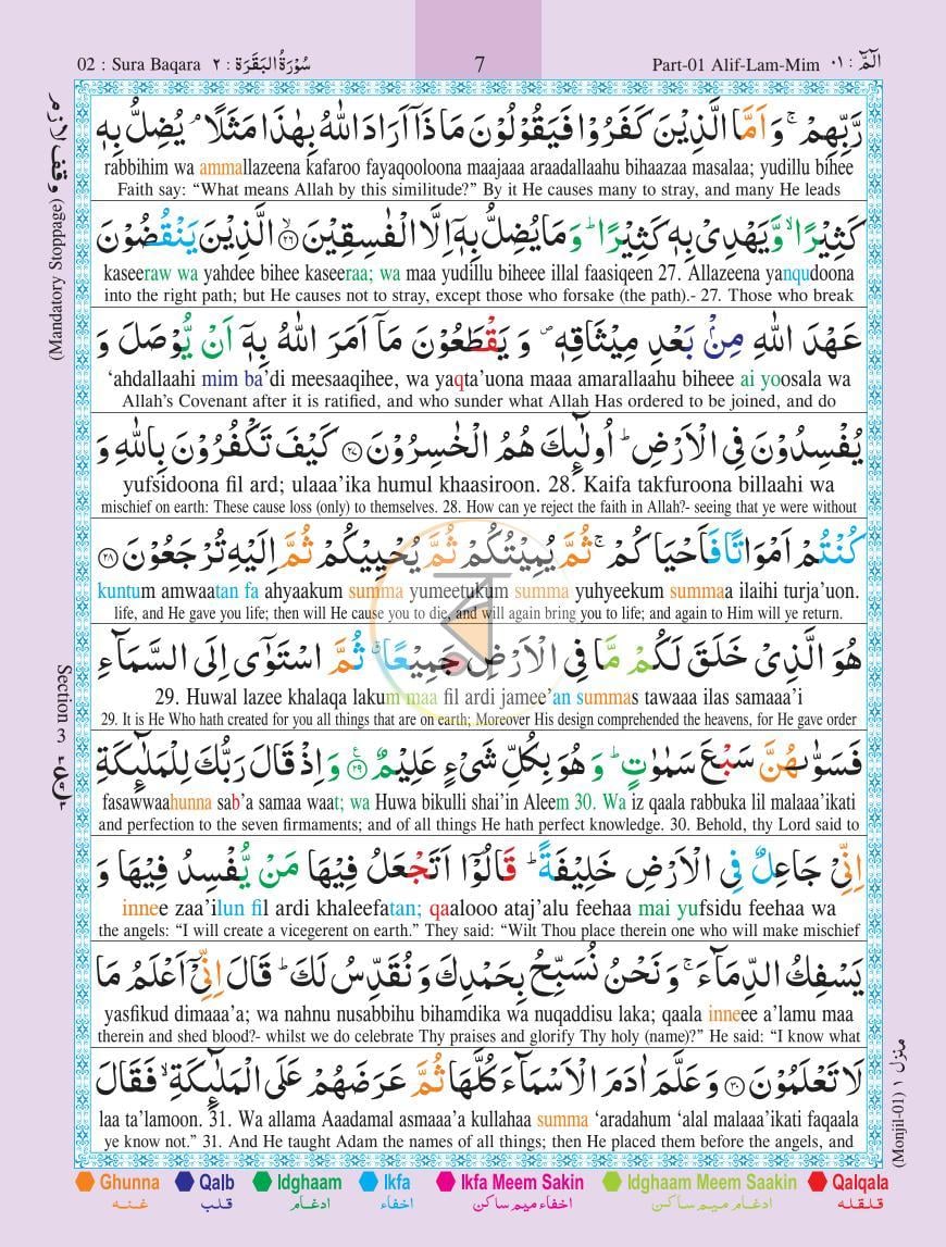 পাতা 12