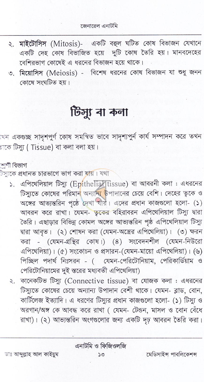 পাতা 10