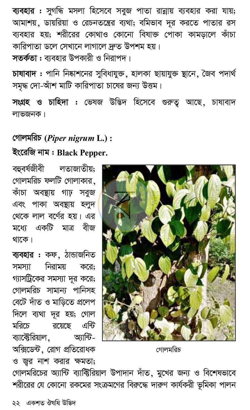 পাতা 15