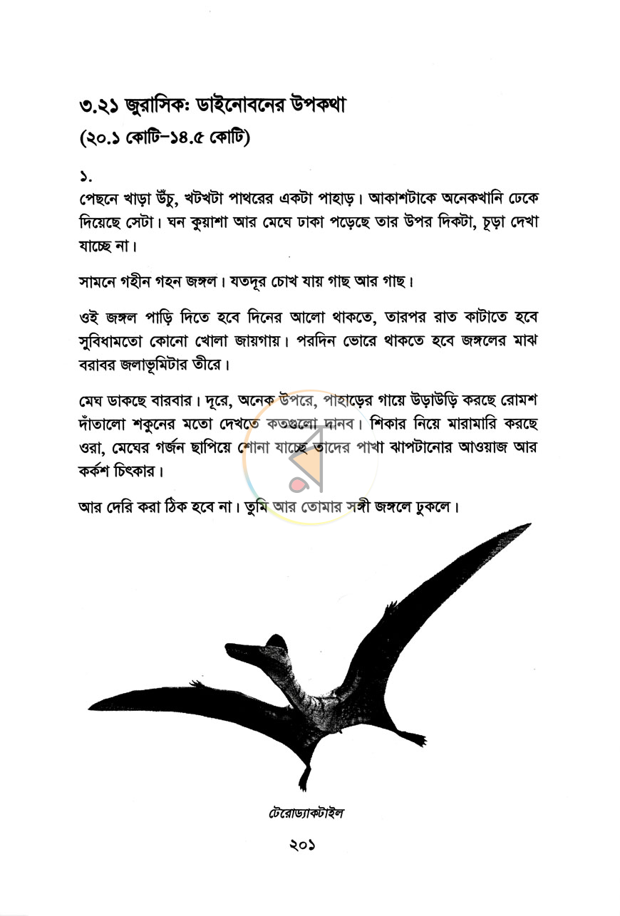 পাতা 12