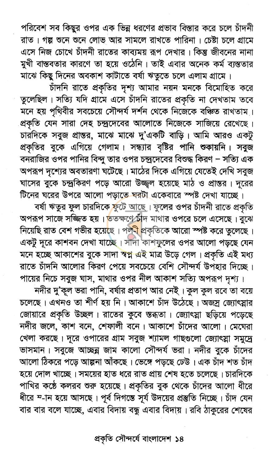 পাতা 10