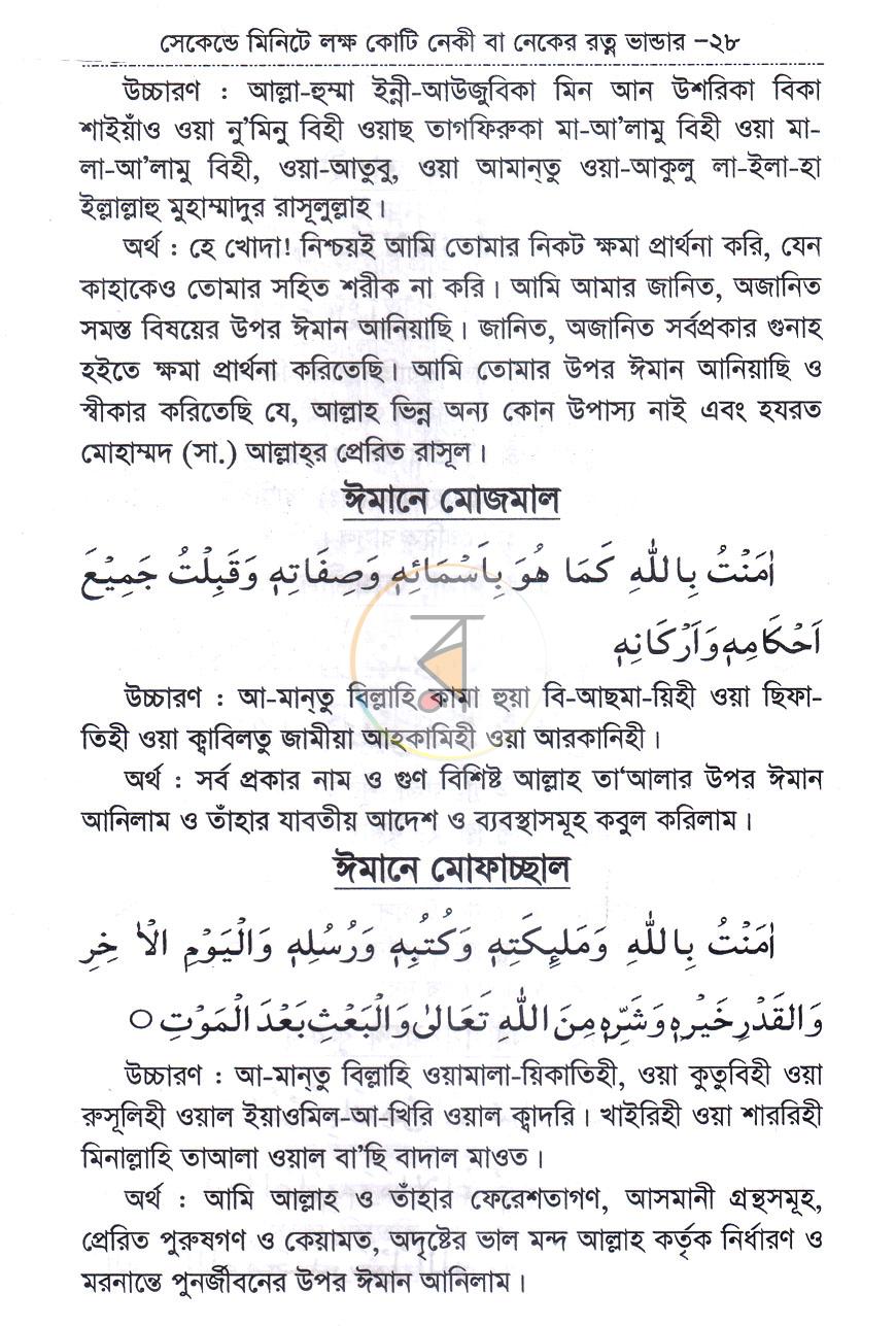 পাতা 8