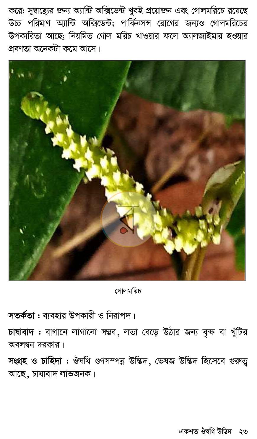 পাতা 16