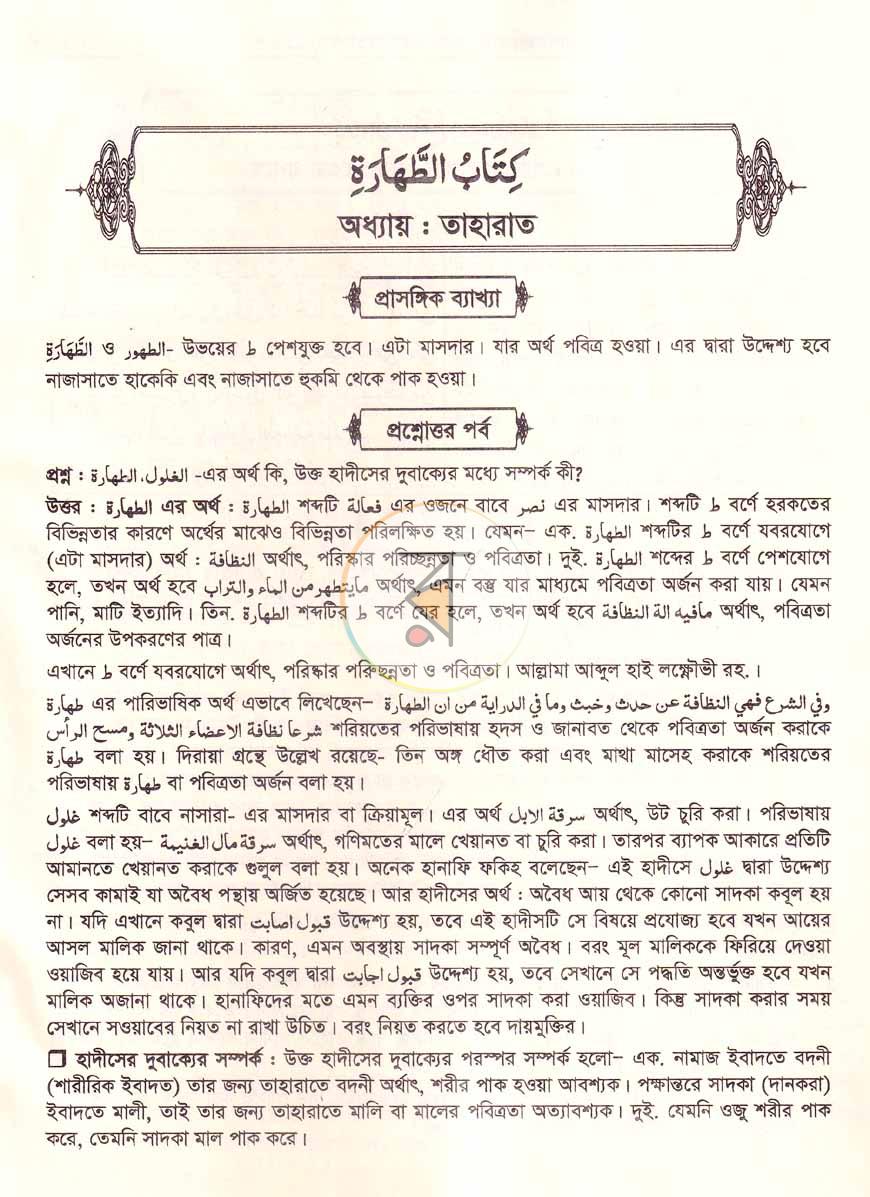 পাতা 11