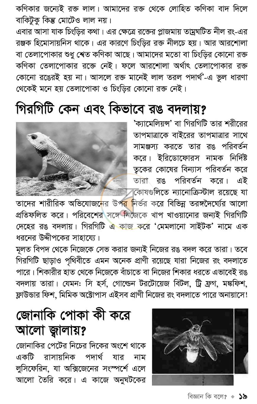 পাতা 14