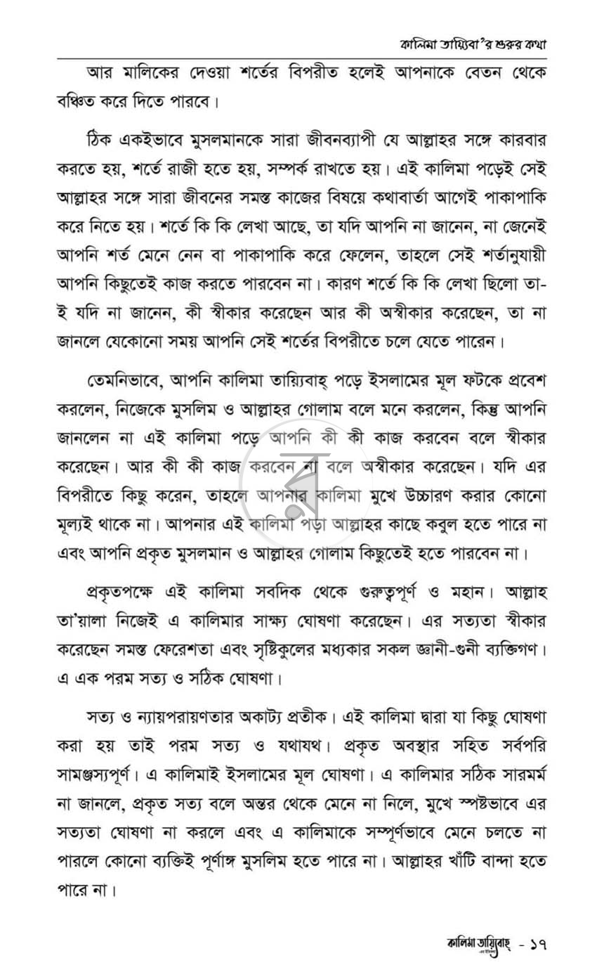 পাতা 11