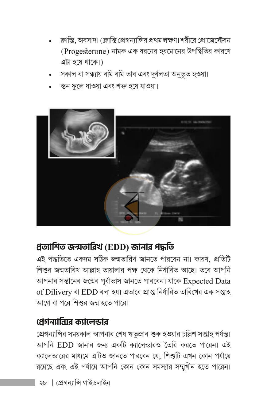 পাতা 17