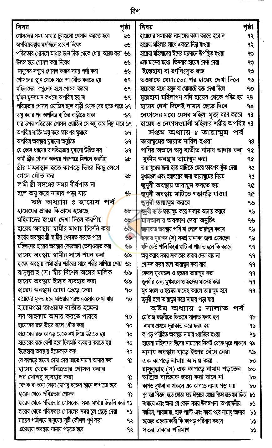 পাতা 11