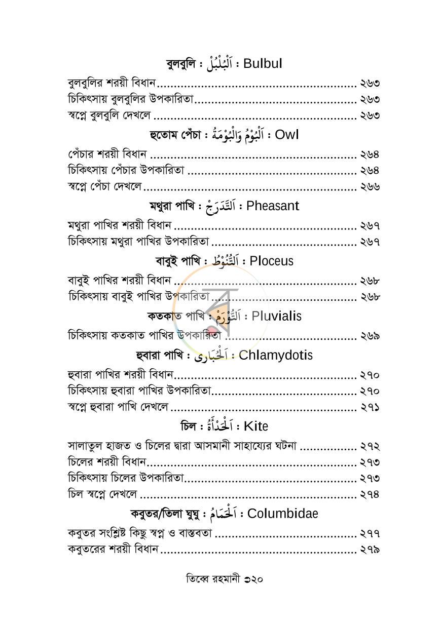 পাতা 16